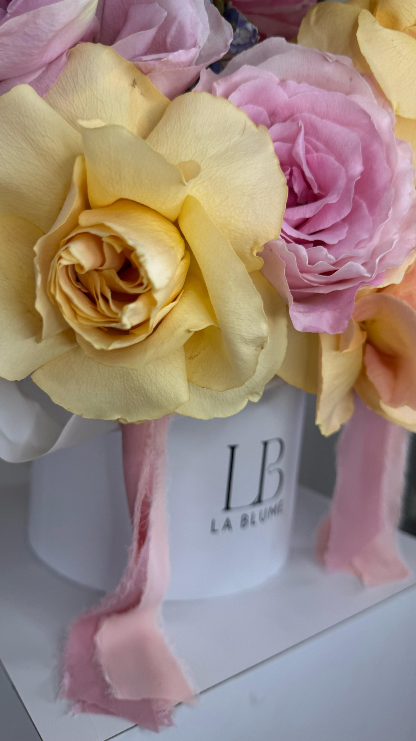 Pastel Bloom