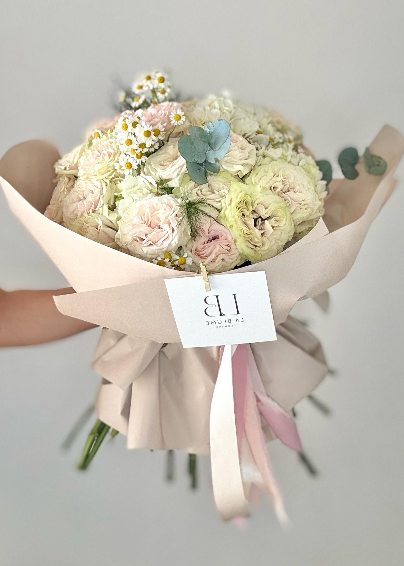 Wild Blush