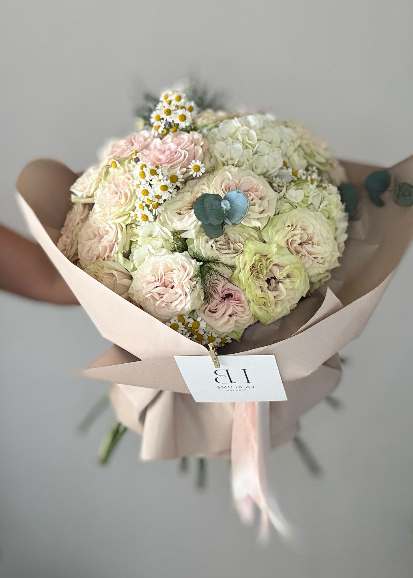 Wild Blush