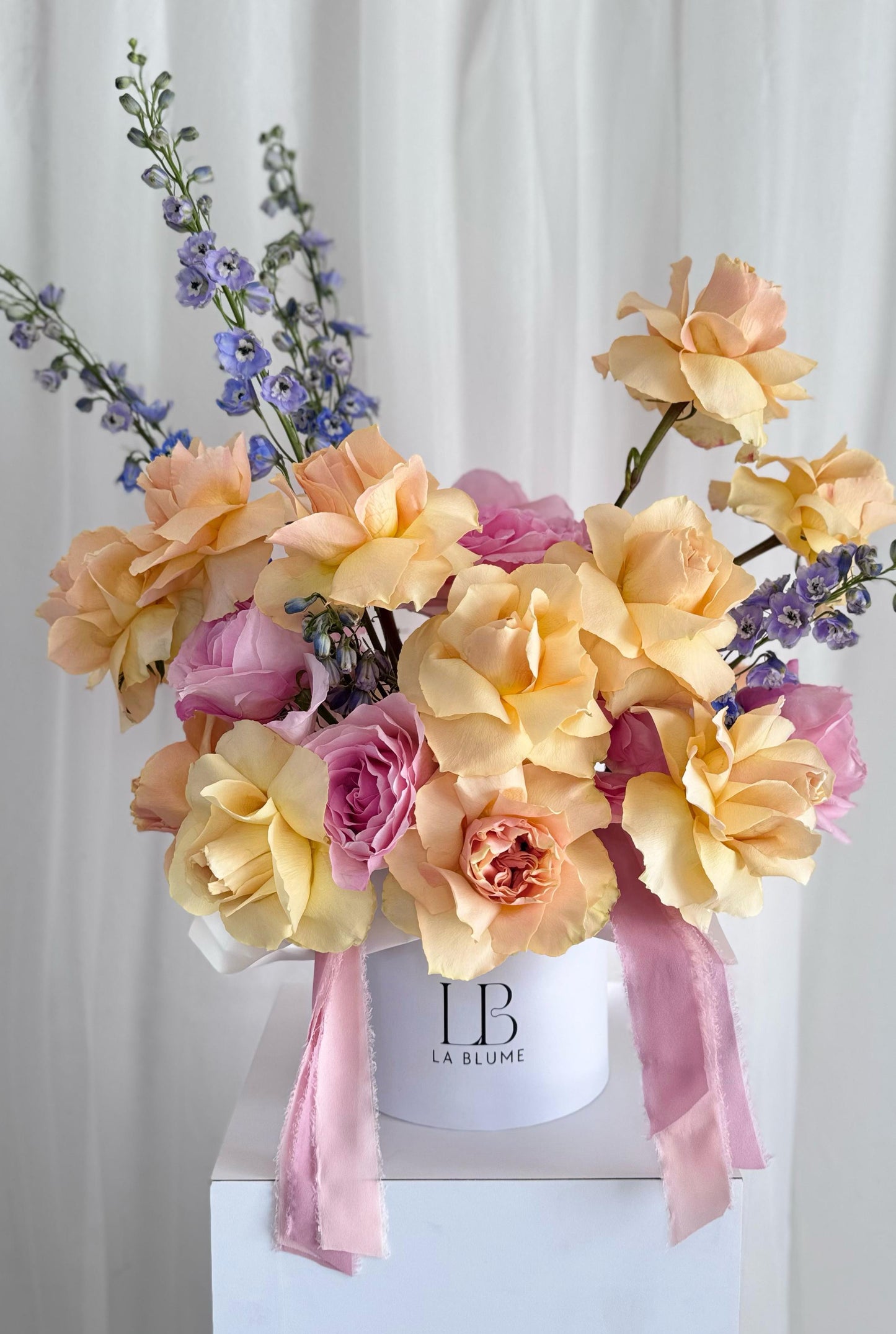 Pastel Bloom