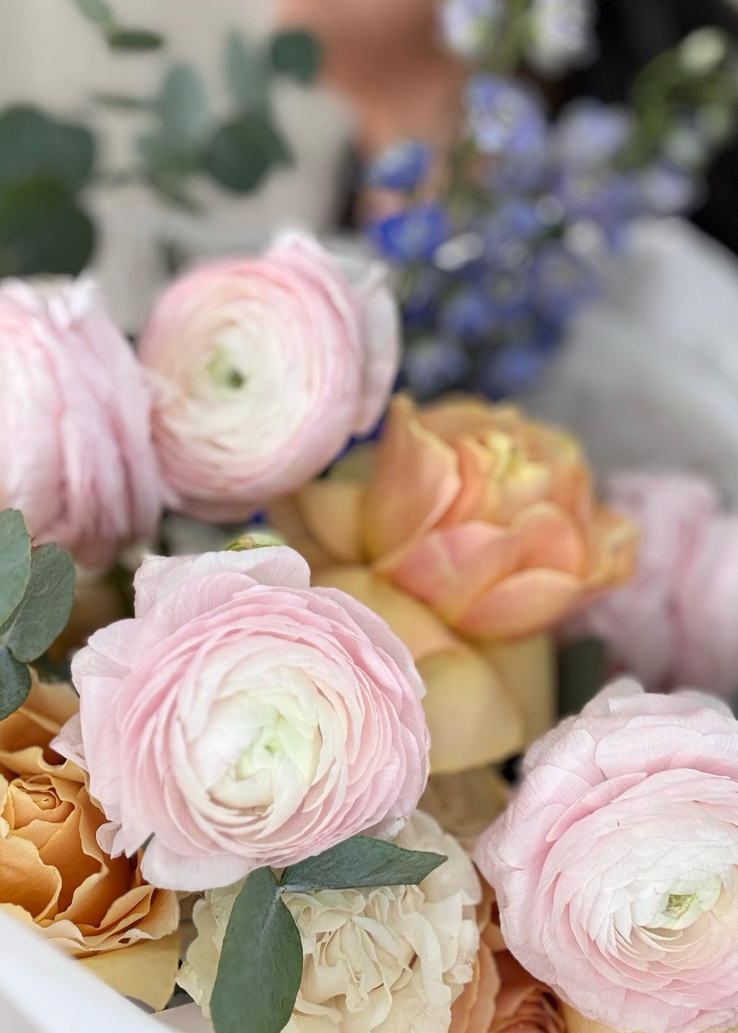 Spring Blush