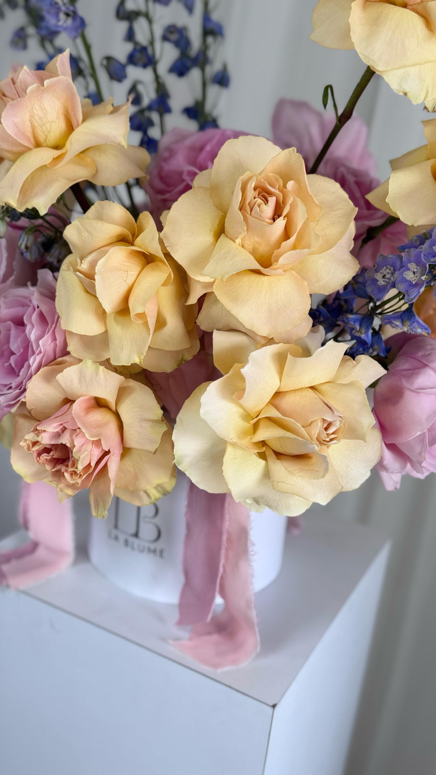 Pastel Bloom